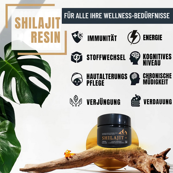 Himalaya Shilajit Harz Balsam