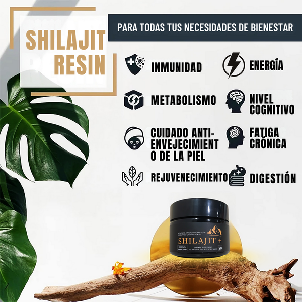 Bálsamo de resina de Shilajit del Himalaya