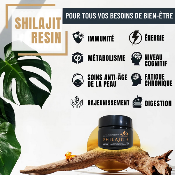 Baume de résine de Shilajit de l