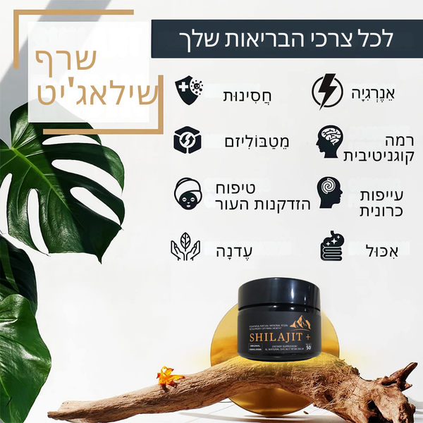 משחת שרף שילאג