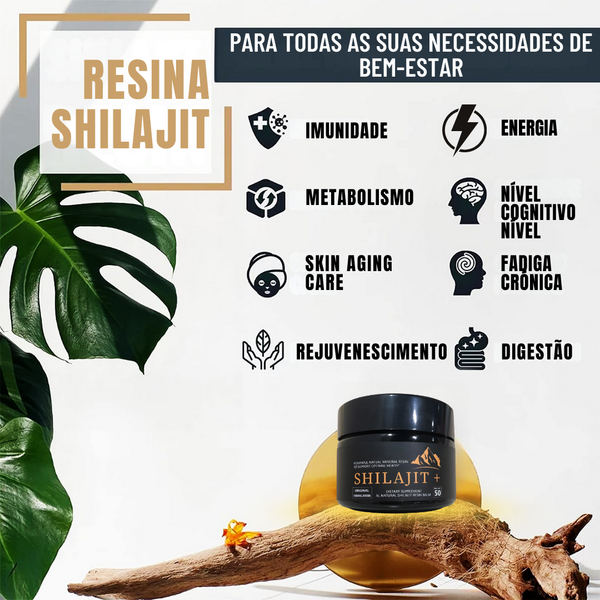 Bálsamo de Resina Shilajit do Himalaia