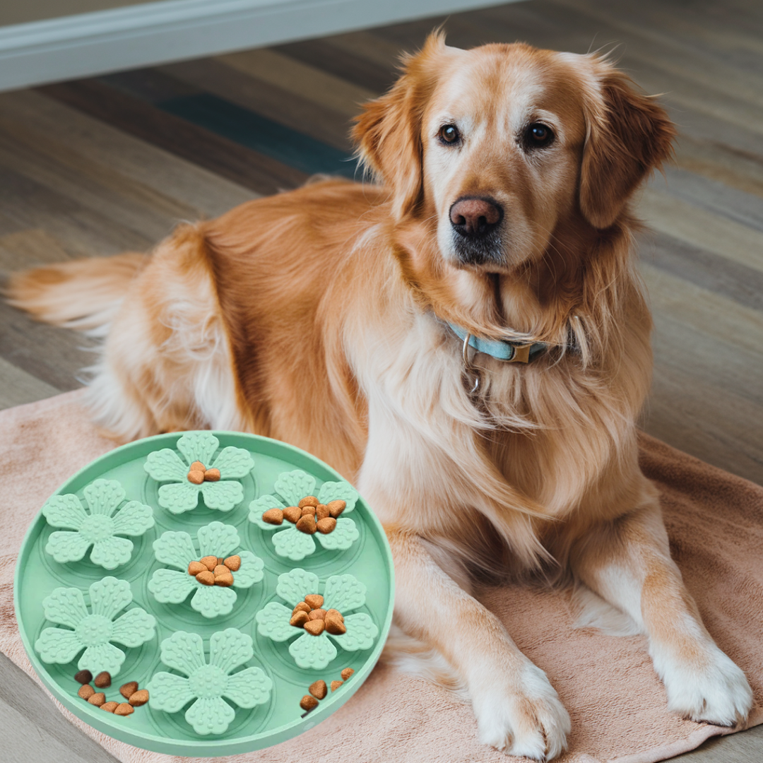 anti schrok bak honden hondenvoer slow feeder