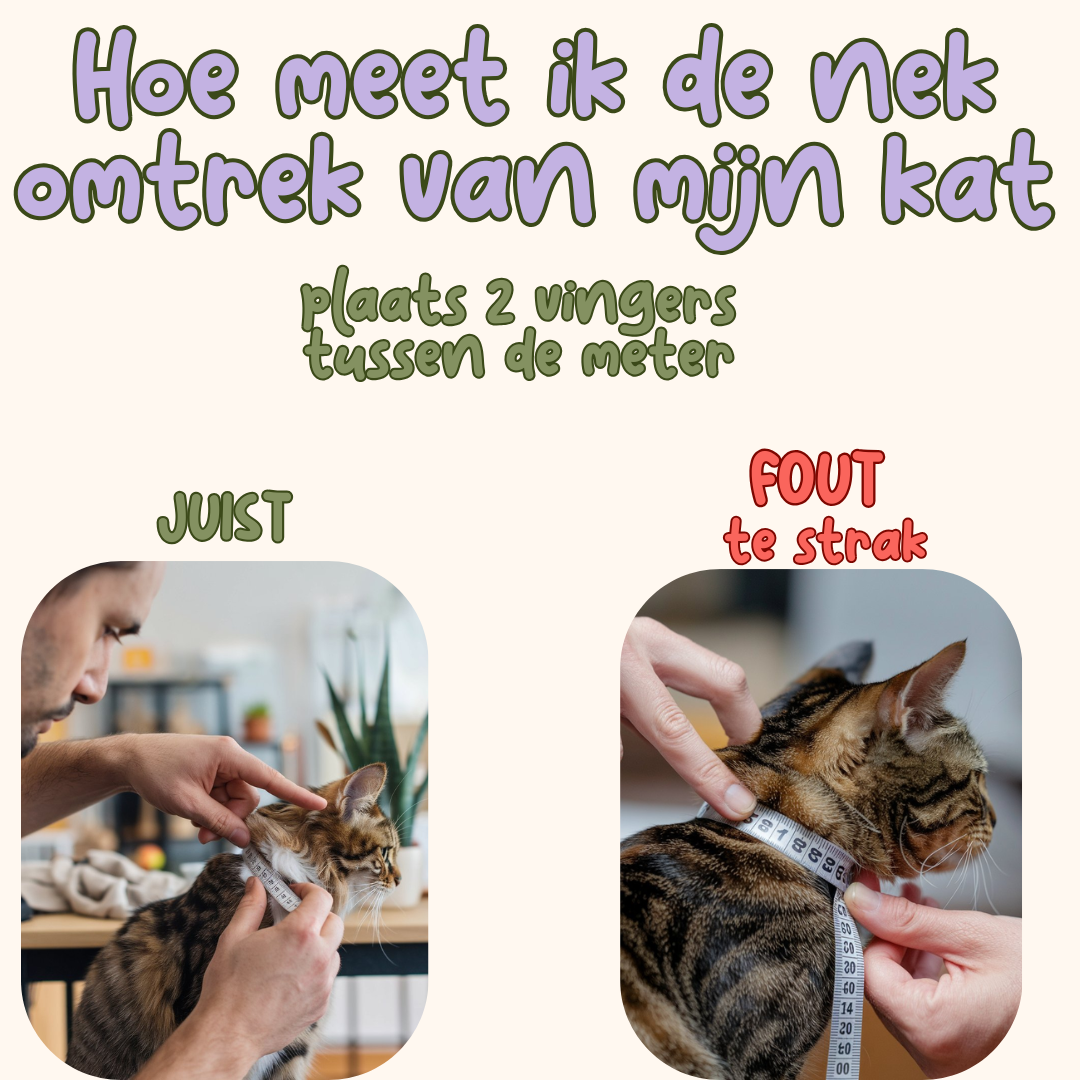 Velvet Royal kattenhalsband met Belletje & verwijderbare Strik groen