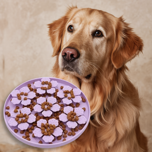 hond anti schrok bak honden hondenvoer slow feeder
