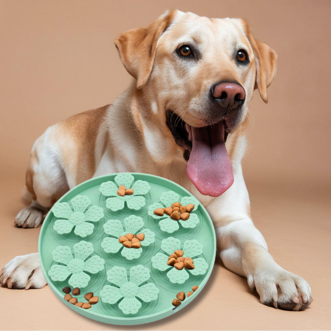 hond anti schrok bak honden hondenvoer slowfeeder