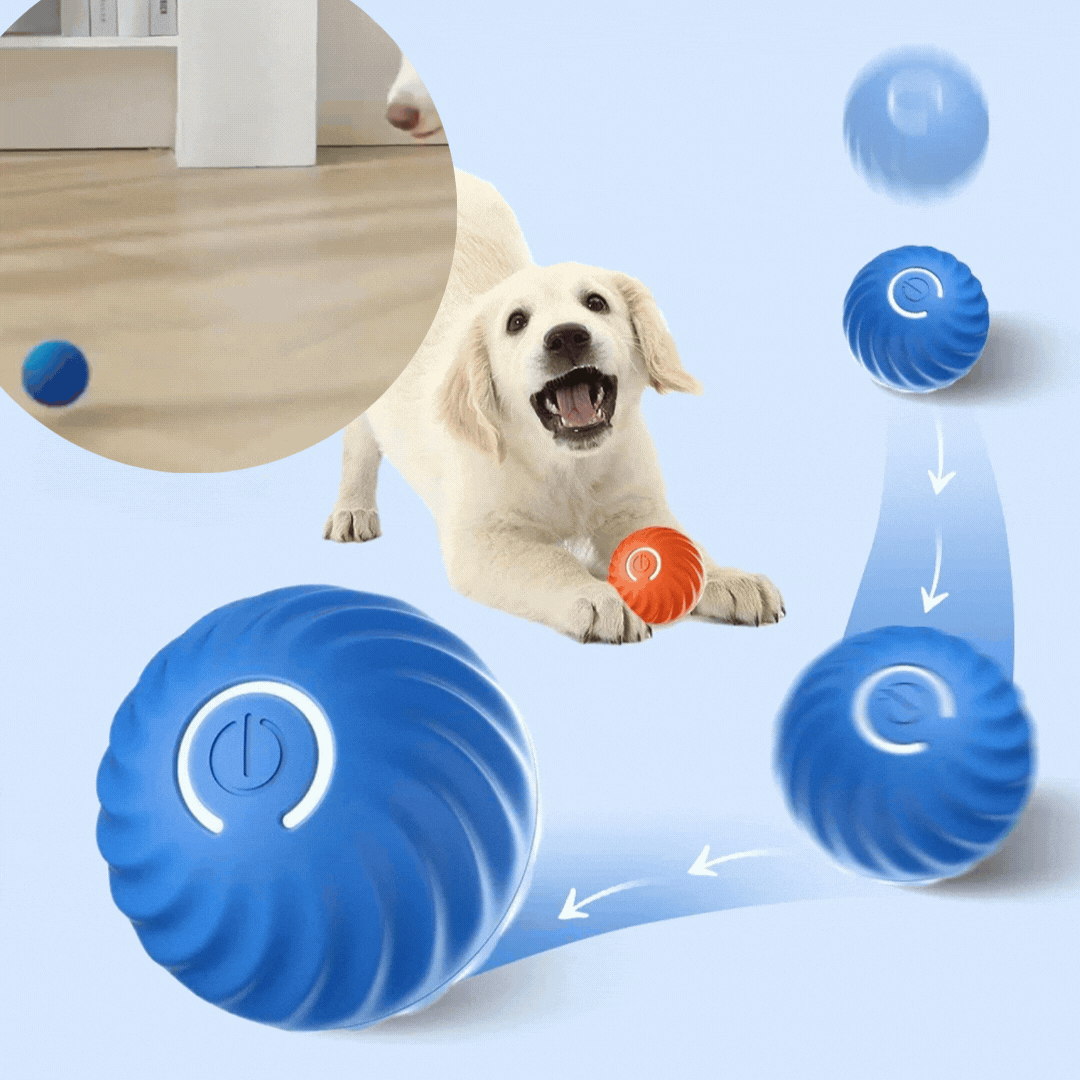 puppy speelt met hondenbal bewegende bal blauw