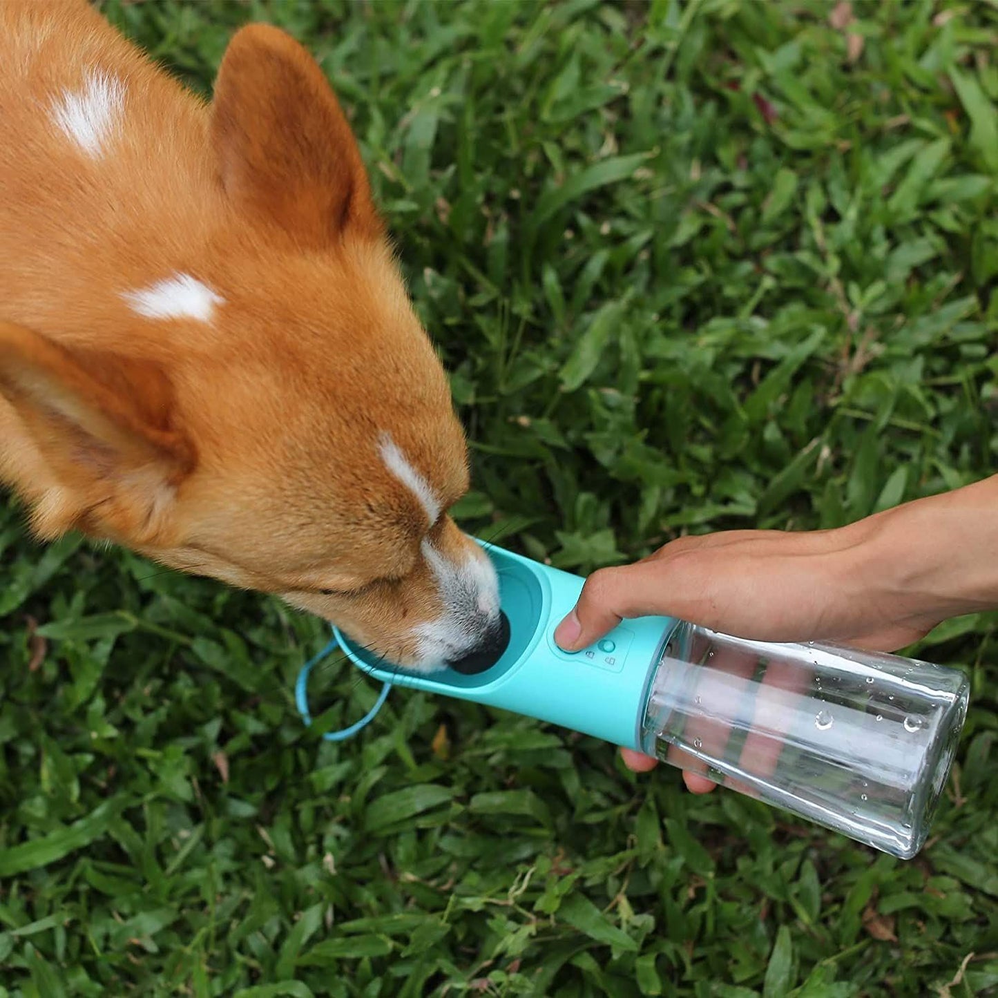 Draagbare Waterfles Onderweg hydrateren zonder zorgen