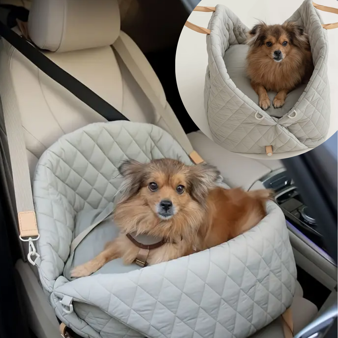 Luxe Comfortabele honden Reistas Draagzak & Autostoel in 1
