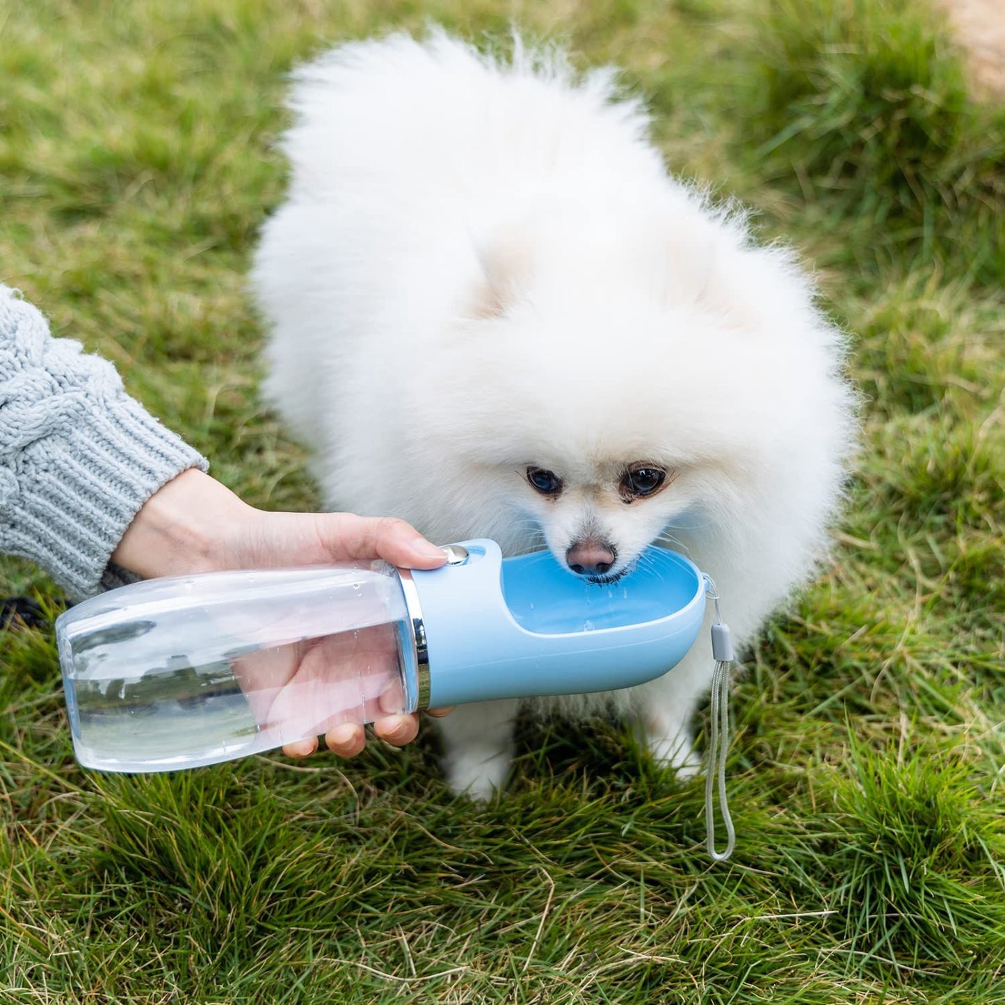 Draagbare Waterfles Onderweg hydrateren zonder zorgen