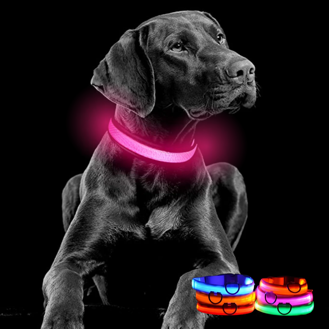 Lichtgevende hondenhalsband Onmisbaar voor Veiligheid & Gemoedsrust in het donker