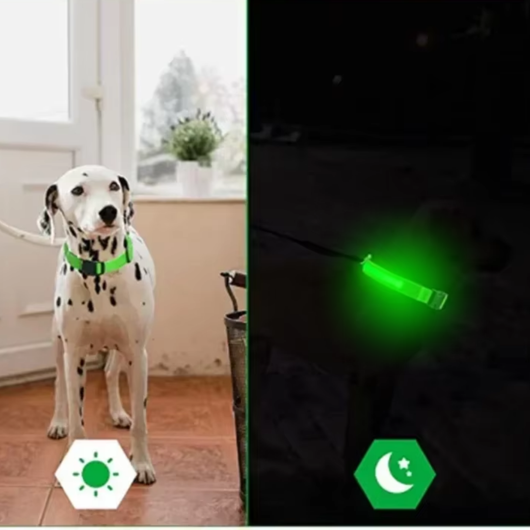 Lichtgevende hondenhalsband Onmisbaar voor Veiligheid & Gemoedsrust in het donker