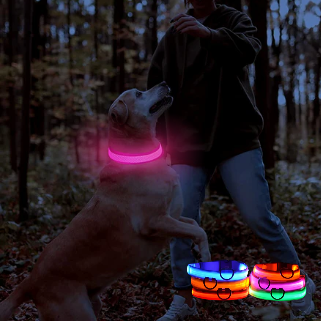 Lichtgevende hondenhalsband Onmisbaar voor Veiligheid & Gemoedsrust in het donker