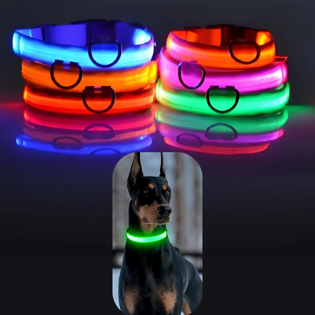 Lichtgevende hondenhalsband Onmisbaar voor Veiligheid & Gemoedsrust in het donker
