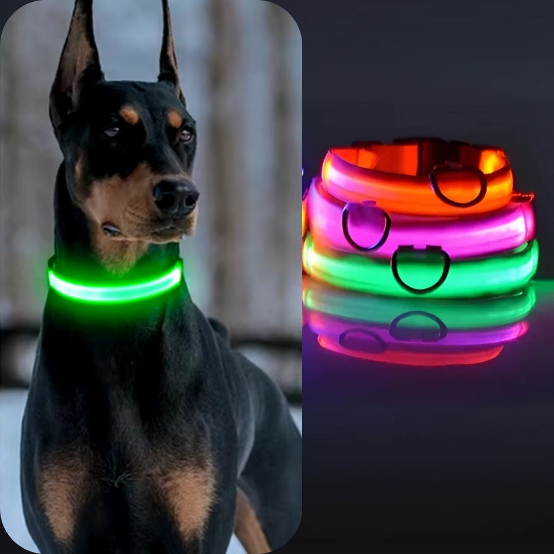 Lichtgevende hondenhalsband Onmisbaar voor Veiligheid & Gemoedsrust in het donker