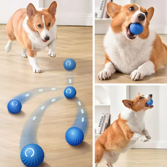 Bouncy hondenbal Vibrerende Automatisch Bewegende Bal interactief hondenspeelgoed