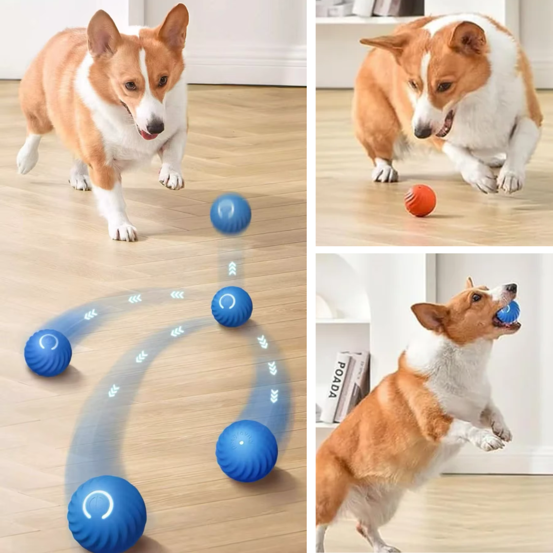 Bouncy hondenbal Vibrerende Automatisch Bewegende Bal interactief hondenspeelgoed