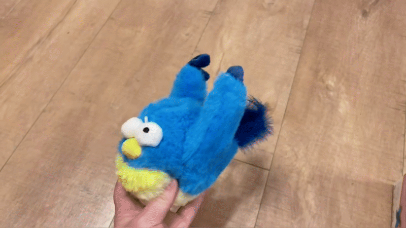 kat speelt met kattenspeeltje catflapster blauwe vogel