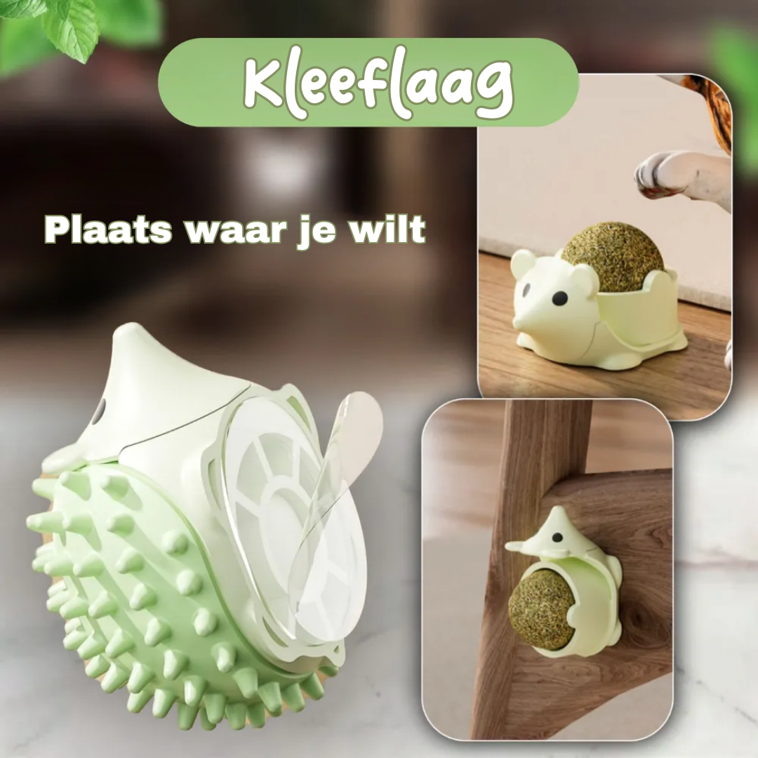 Egel kattenkruid catnip bal kattenspeeltjes met massage borstel