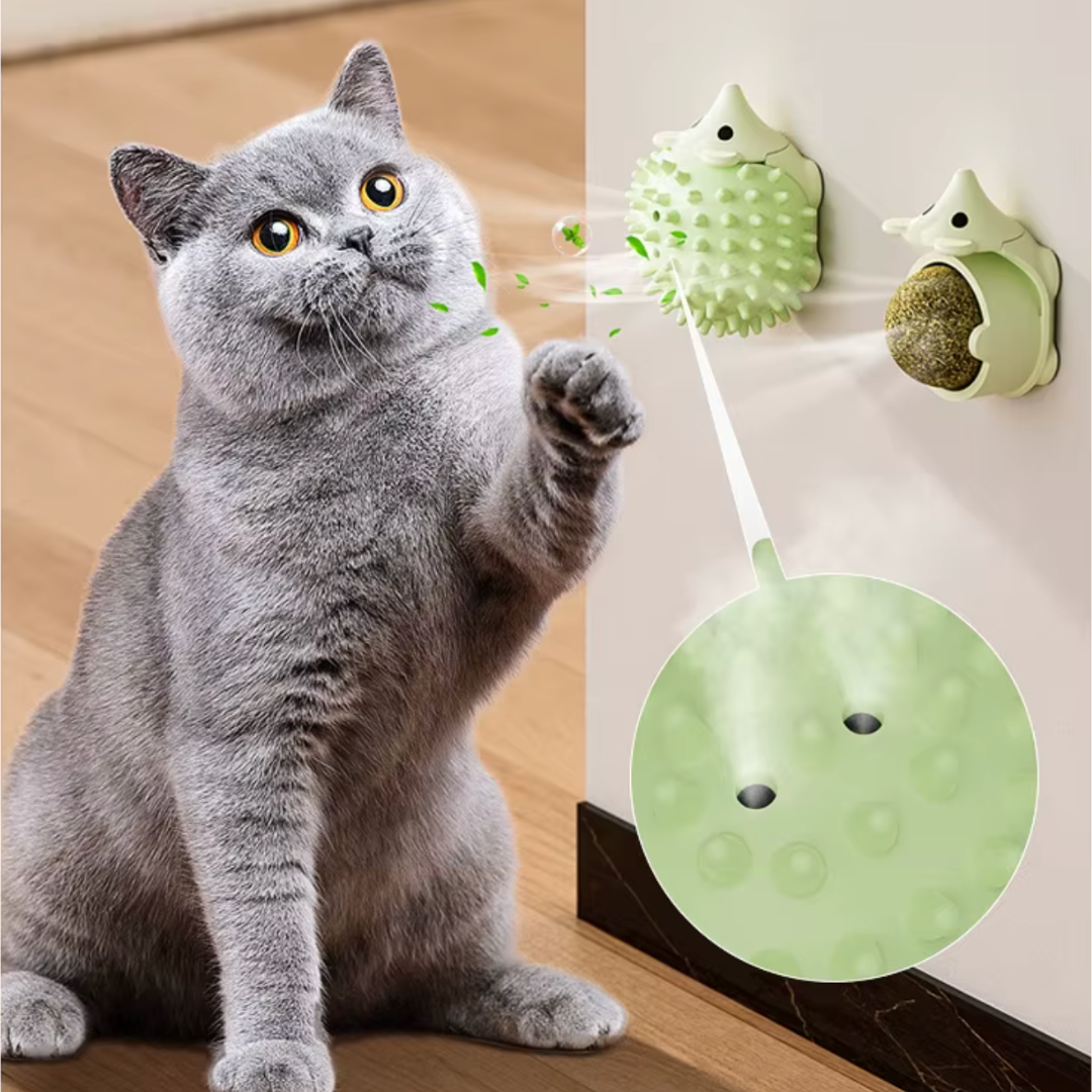 Egel kattenkruid catnip bal kattenspeeltjes met massage borstel