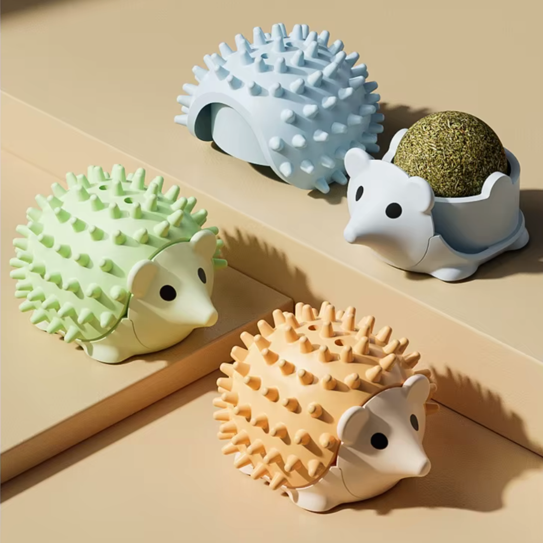 Egel kattenkruid catnip bal kattenspeeltjes met massage borstel