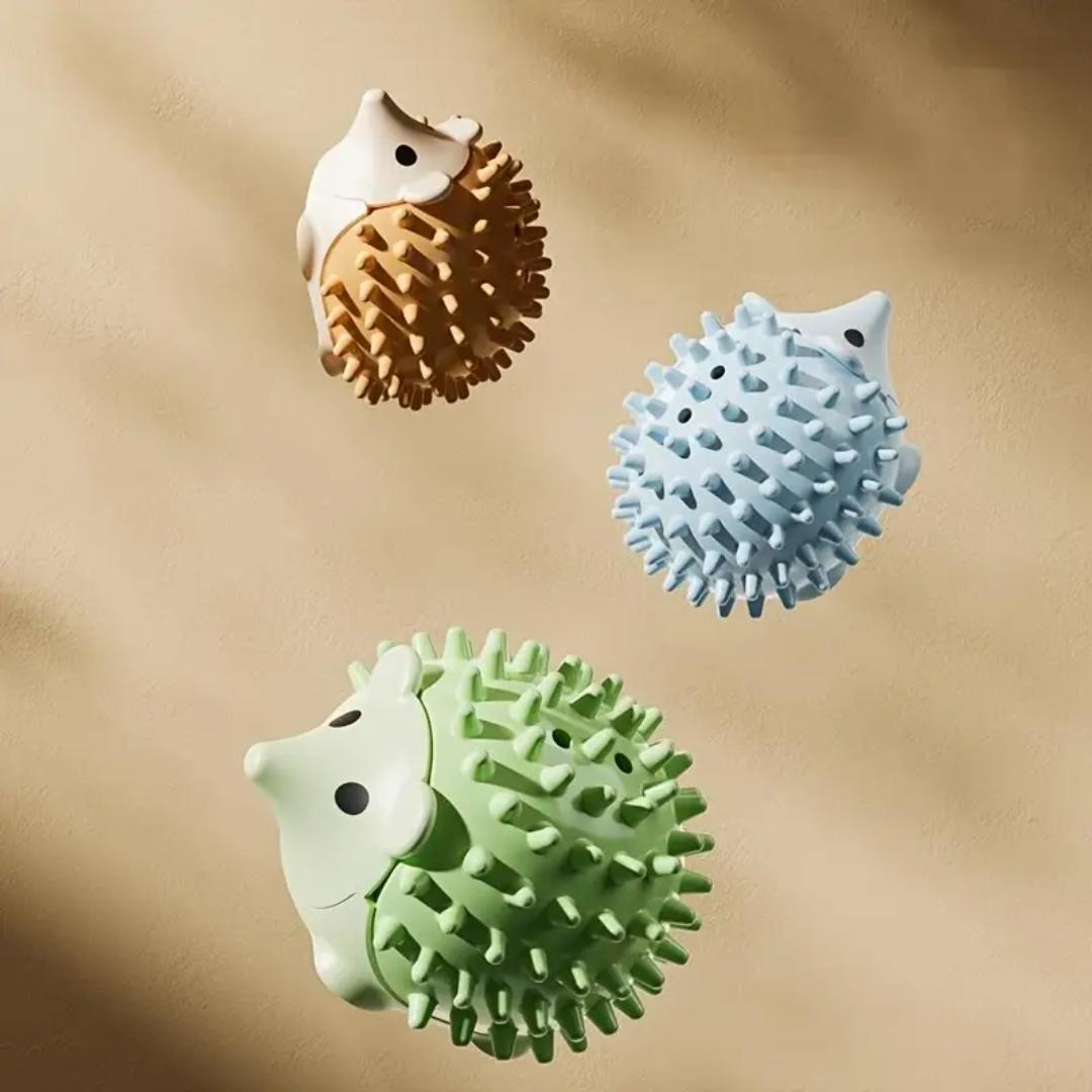Egel kattenkruid catnip bal kattenspeeltjes met massage borstel