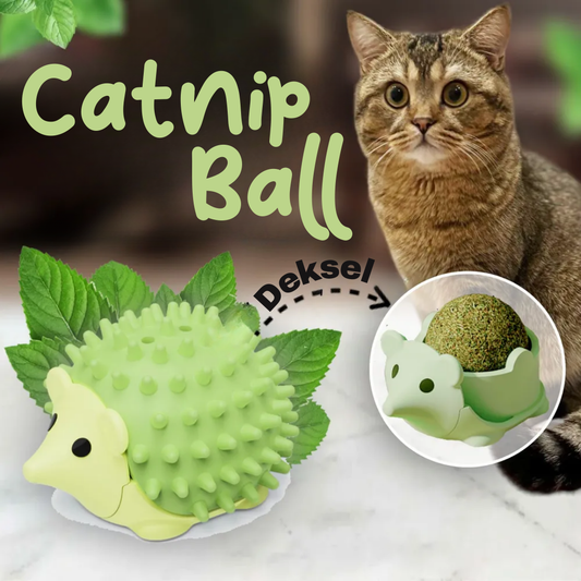 Egel kattenkruid catnip bal kattenspeeltjes met massage borstel