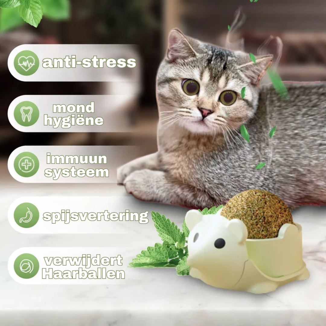 Egel kattenkruid catnip bal kattenspeeltjes met massage borstel