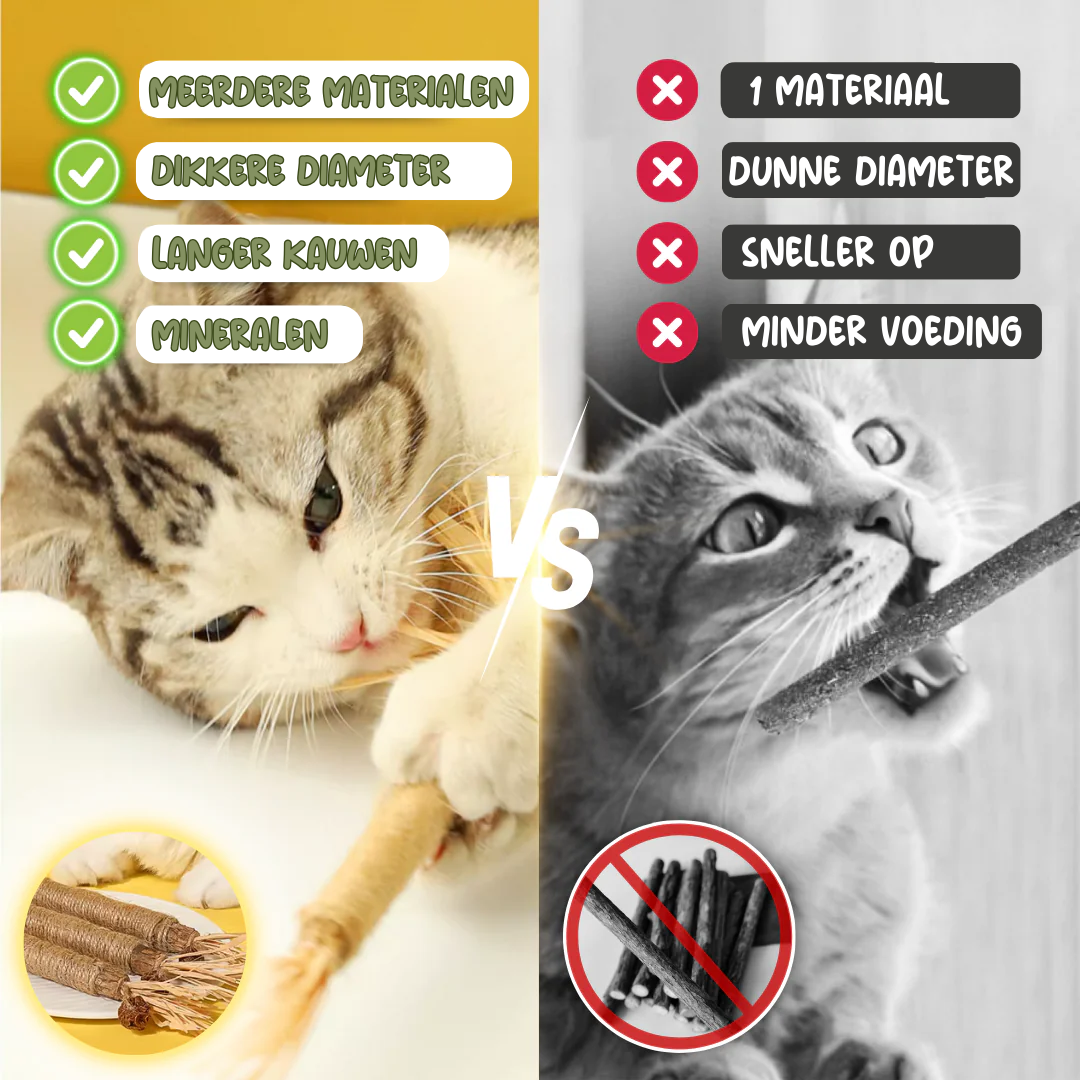 Natuurlijk kauw kattenspeeltjes Reinig de Tanden Natuurlijk met Matatabi, Hennep & Zeegras