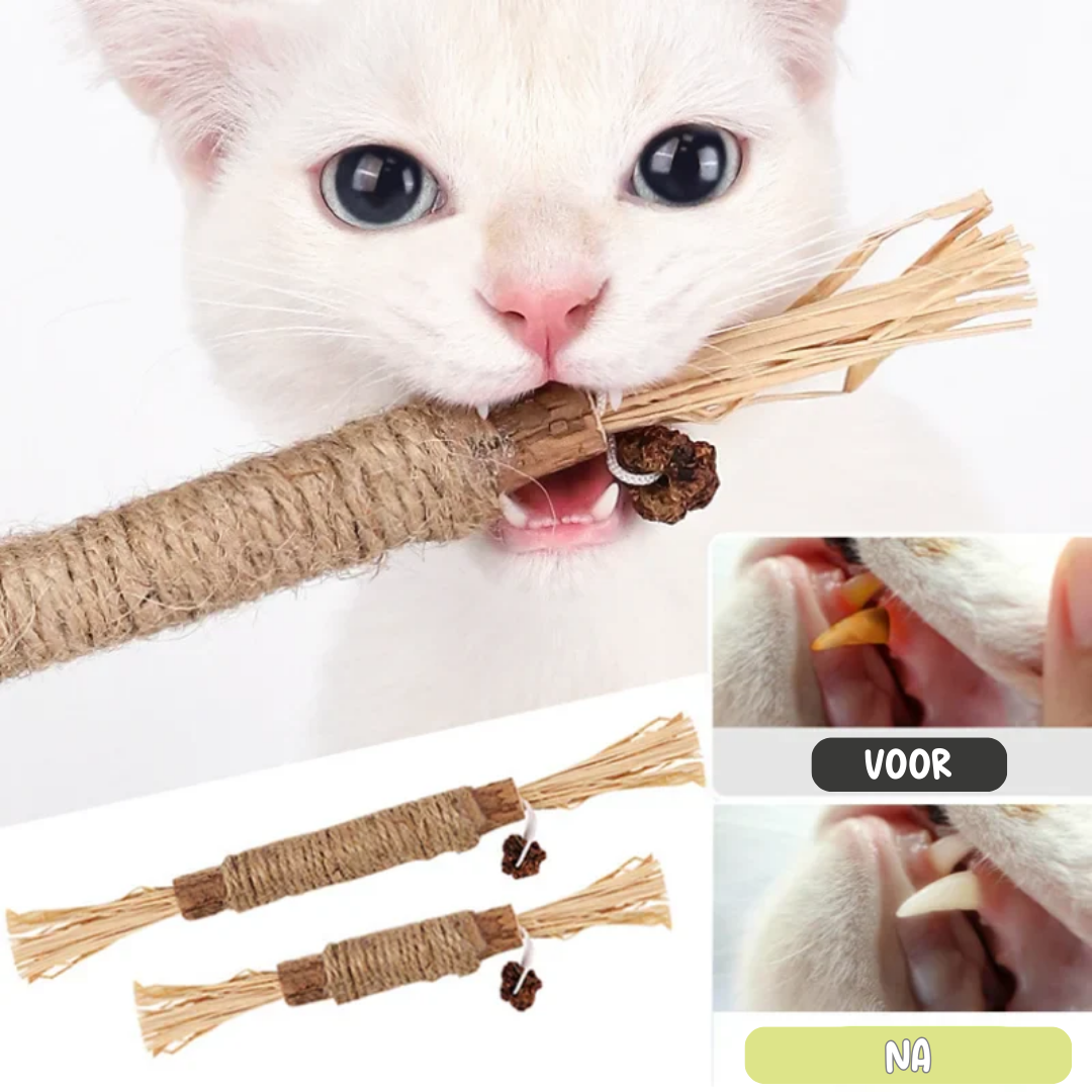 Natuurlijk kauw kattenspeeltjes Reinig de Tanden Natuurlijk met Matatabi, Hennep & Zeegras