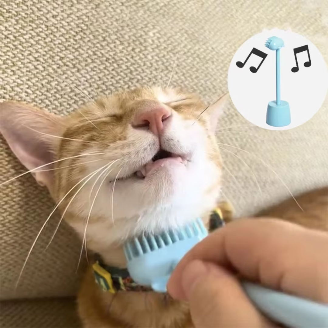 Heerlijke Kat Massageborstel met belletje - Bereik moeilijke plaatsen & Versterk jullie band