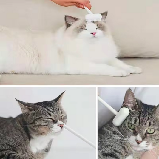 Heerlijke Kat Massageborstel met belletje - Bereik moeilijke plaatsen & Versterk jullie band