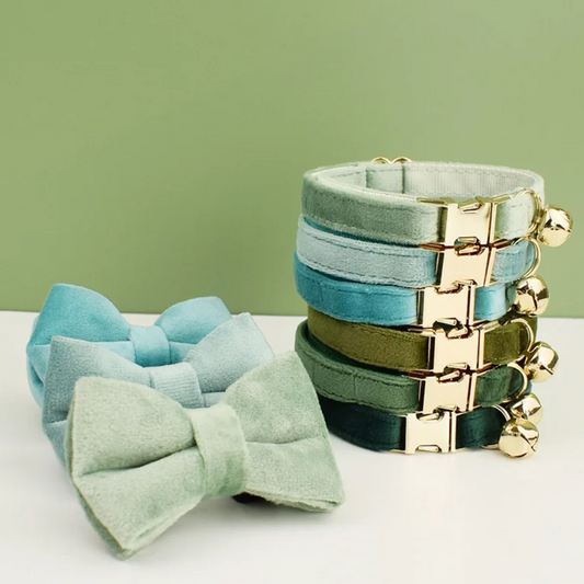 Velvet Royal kattenhalsband met Belletje & verwijderbare Strik groen