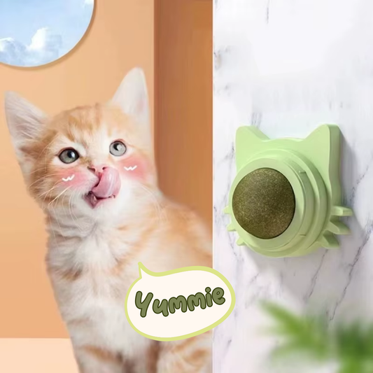 Kattenkruid catnip lik bal