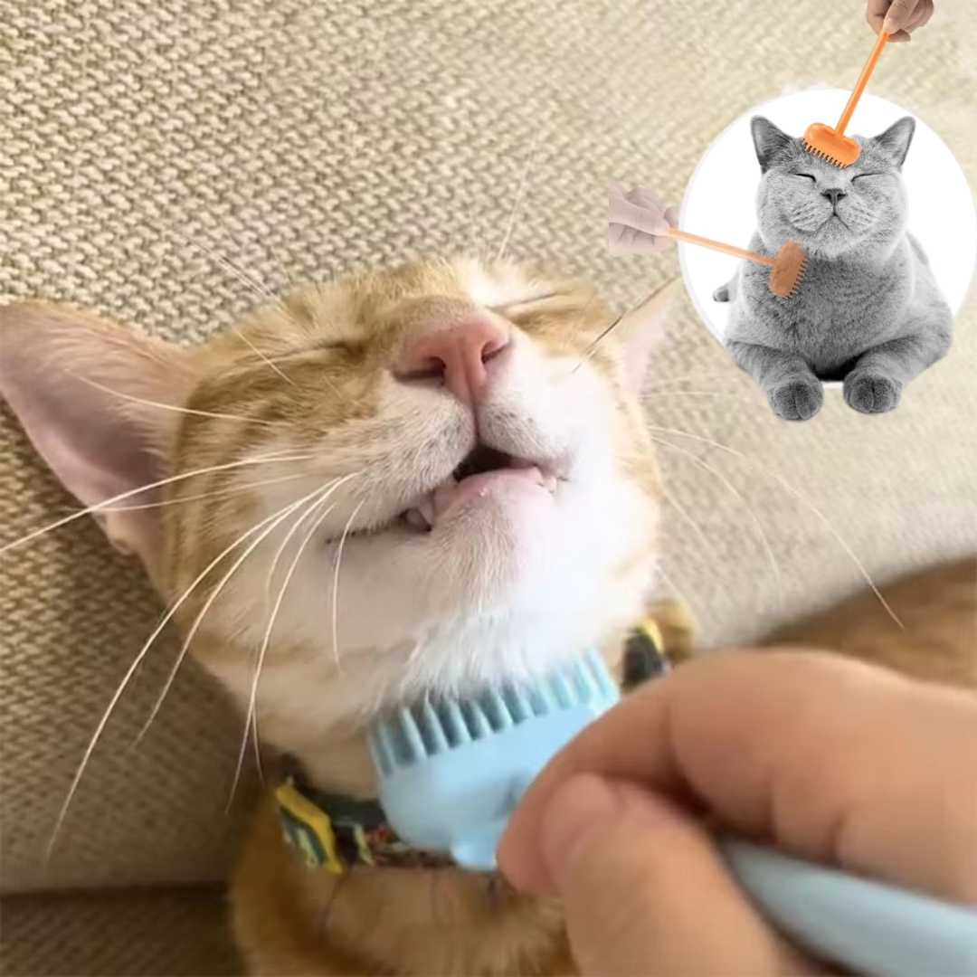 Heerlijke Kat Massageborstel met belletje - Bereik moeilijke plaatsen & Versterk jullie band