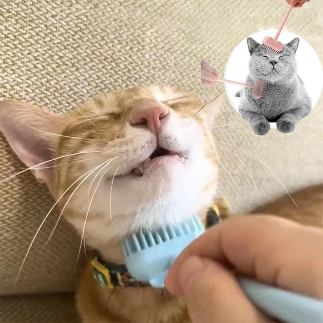 Heerlijke Kat Massageborstel met belletje - Bereik moeilijke plaatsen & Versterk jullie band