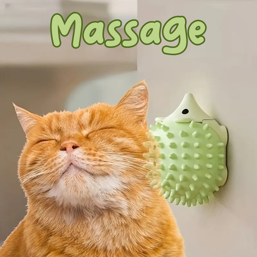 massage kat vacht vezorging
