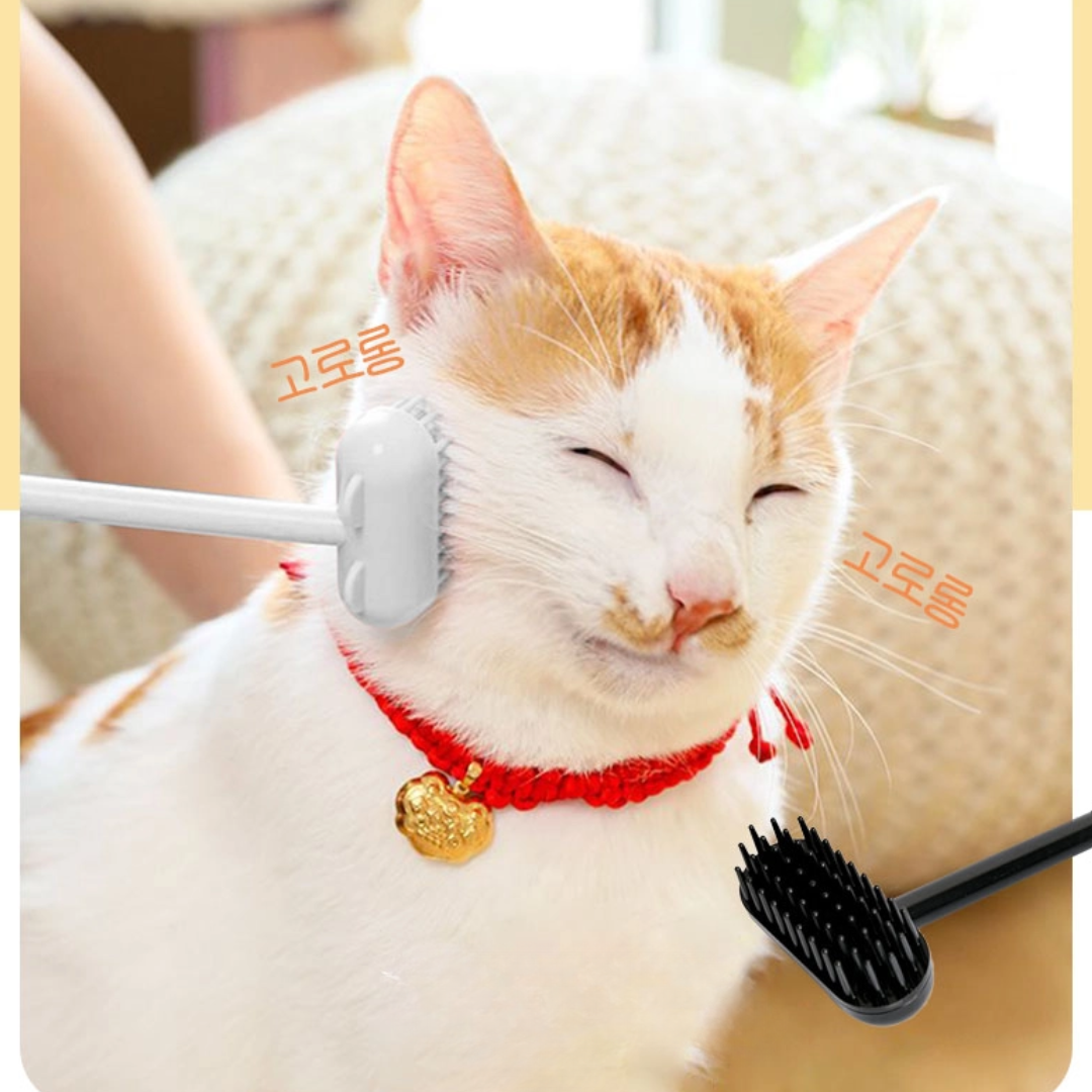 Heerlijke Kat Massageborstel met belletje - Bereik moeilijke plaatsen & Versterk jullie band