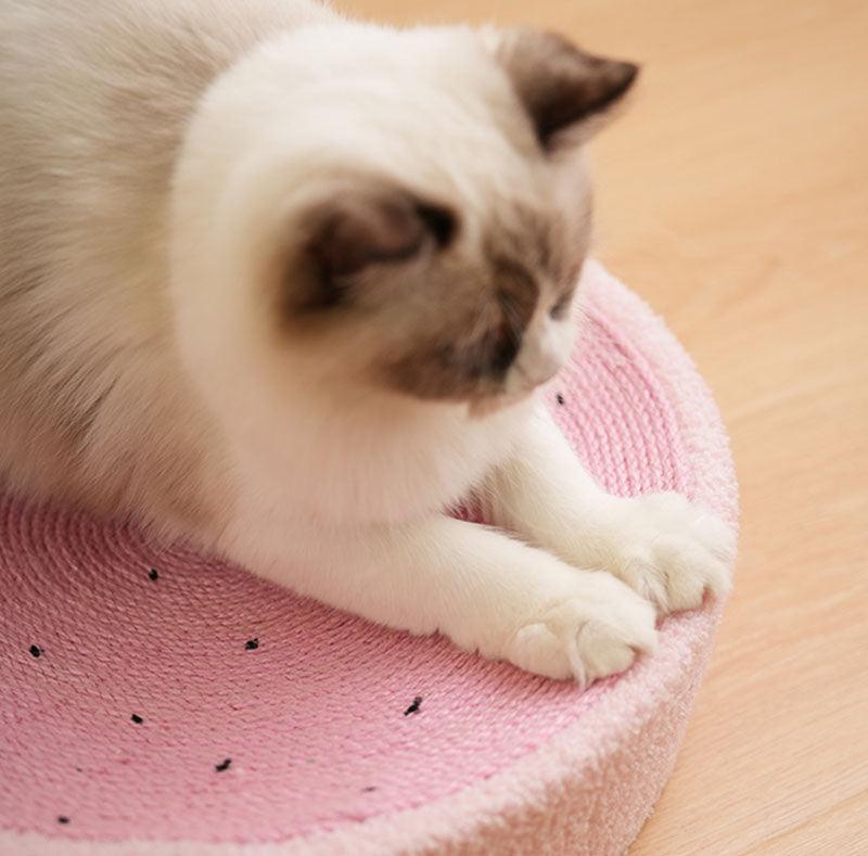 Katten Krabmat & Kattenmand in 1