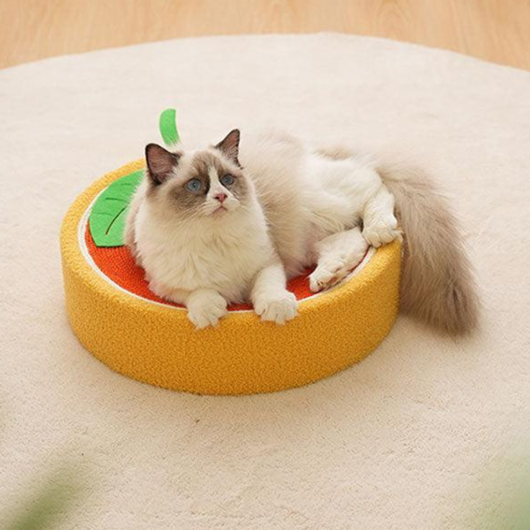 Katten Krabmat & Kattenmand in 1