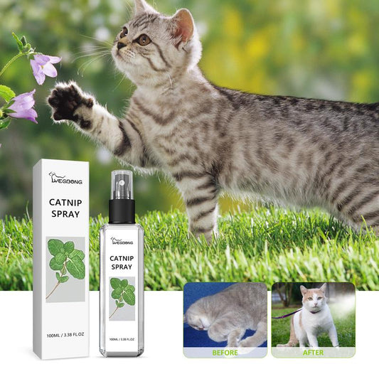 Kat kattenkruid Cupid Spray - maak je kat verliefd