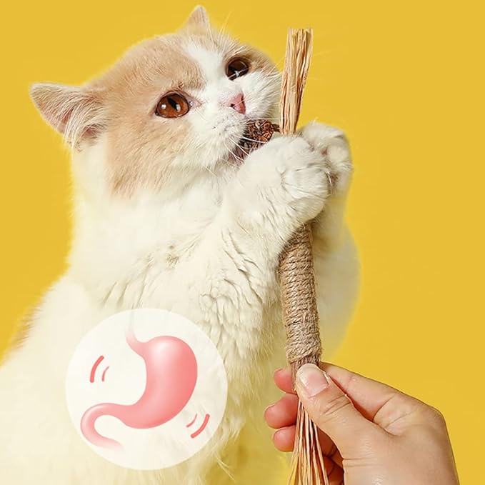 Natuurlijk kauw kattenspeeltjes Reinig de Tanden Natuurlijk met Matatabi, Hennep & Zeegras