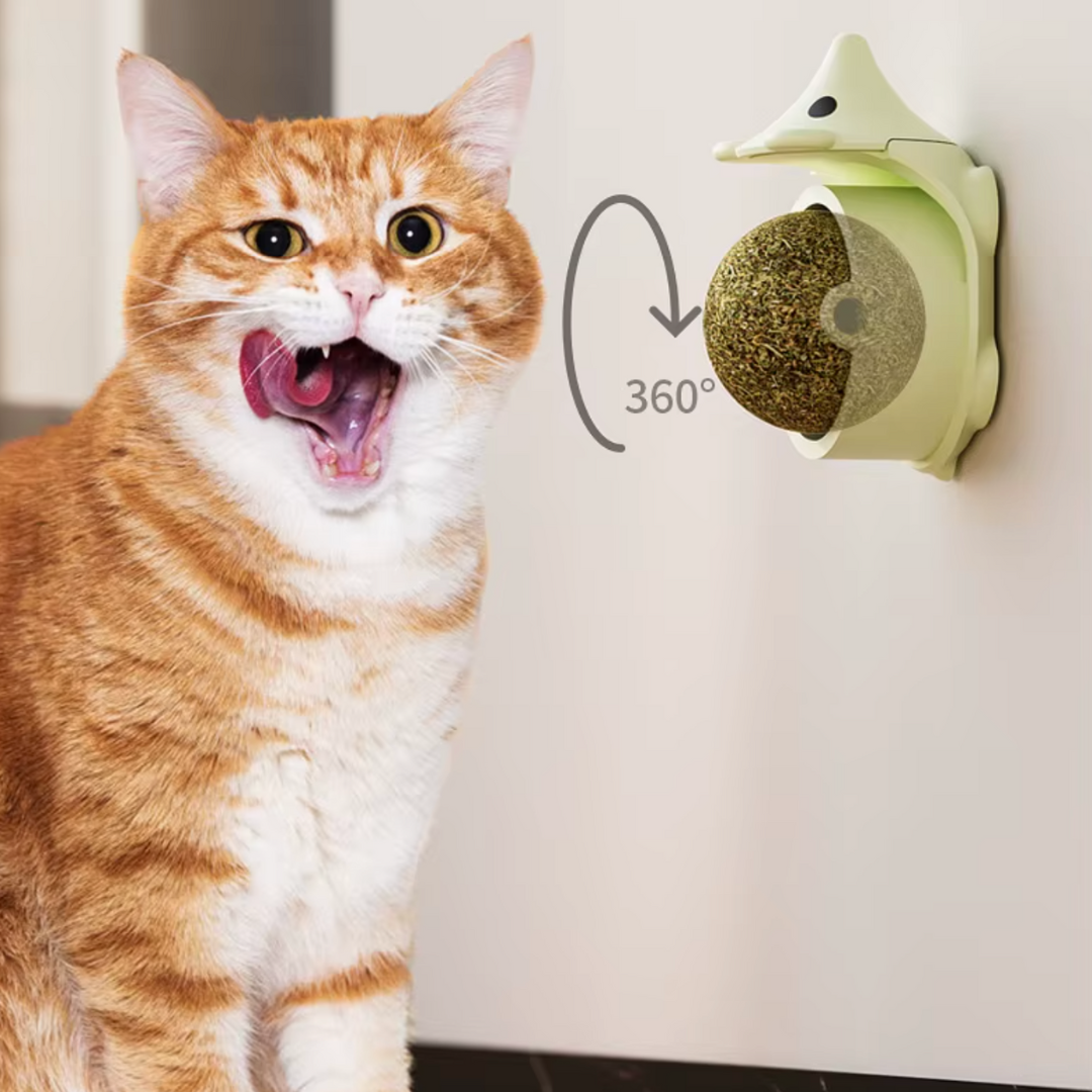 Egel kattenkruid catnip bal kattenspeeltjes met massage borstel