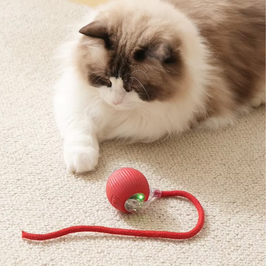 ChaseBall kattenspeelgoed - Bewegende bal met Licht voor Eindeloos Kattenplezier
