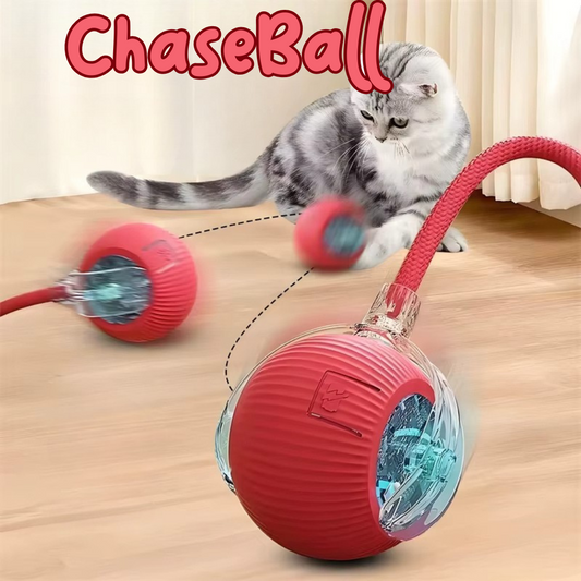 ChaseBall kattenspeelgoed - Bewegende bal met Licht voor Eindeloos Kattenplezier