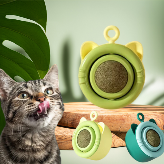 kattenkruid catnip bal kattenspeeltjes