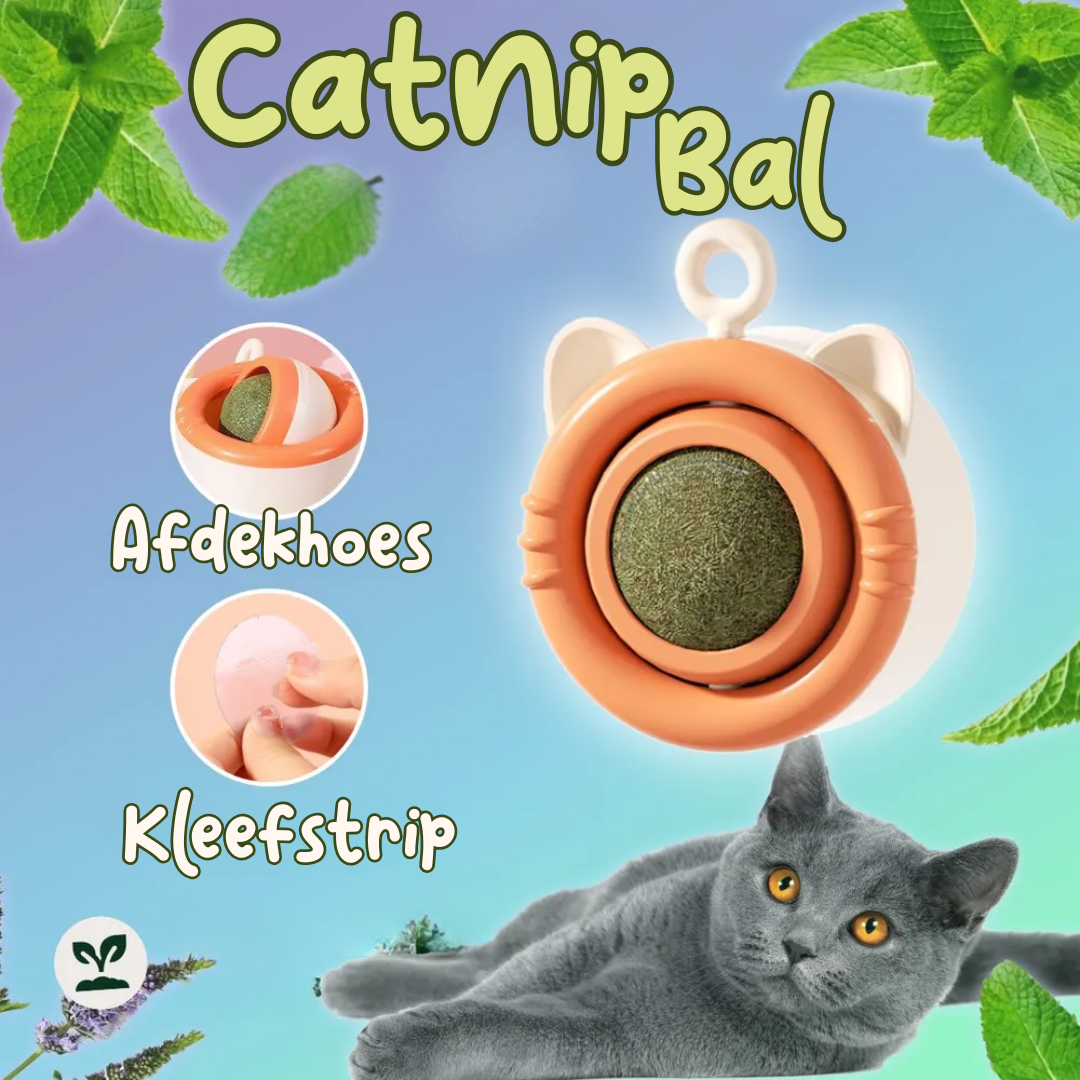 kattenkruid catnip bal kattenspeeltjes
