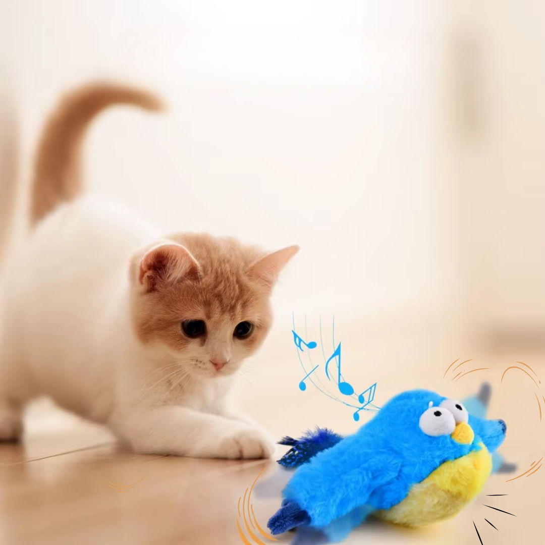 CatFlapster Beweegt en Zingt interactief kattenspeeltjes
