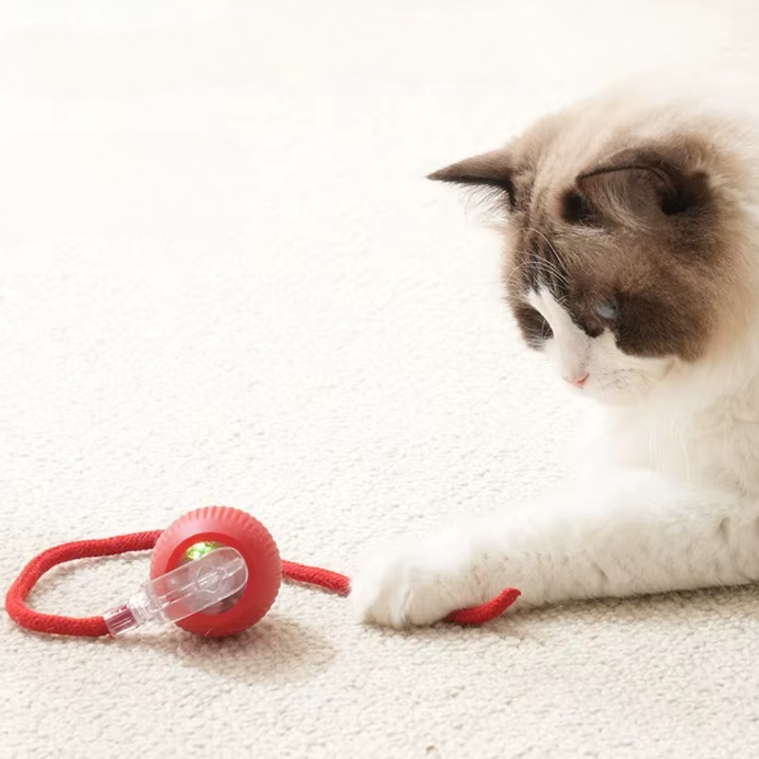 ChaseBall kattenspeelgoed - Bewegende bal met Licht voor Eindeloos Kattenplezier