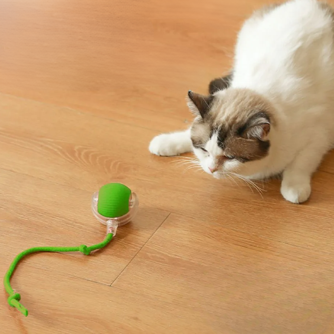 ChaseBall kattenspeelgoed - Bewegende bal met Licht voor Eindeloos Kattenplezier