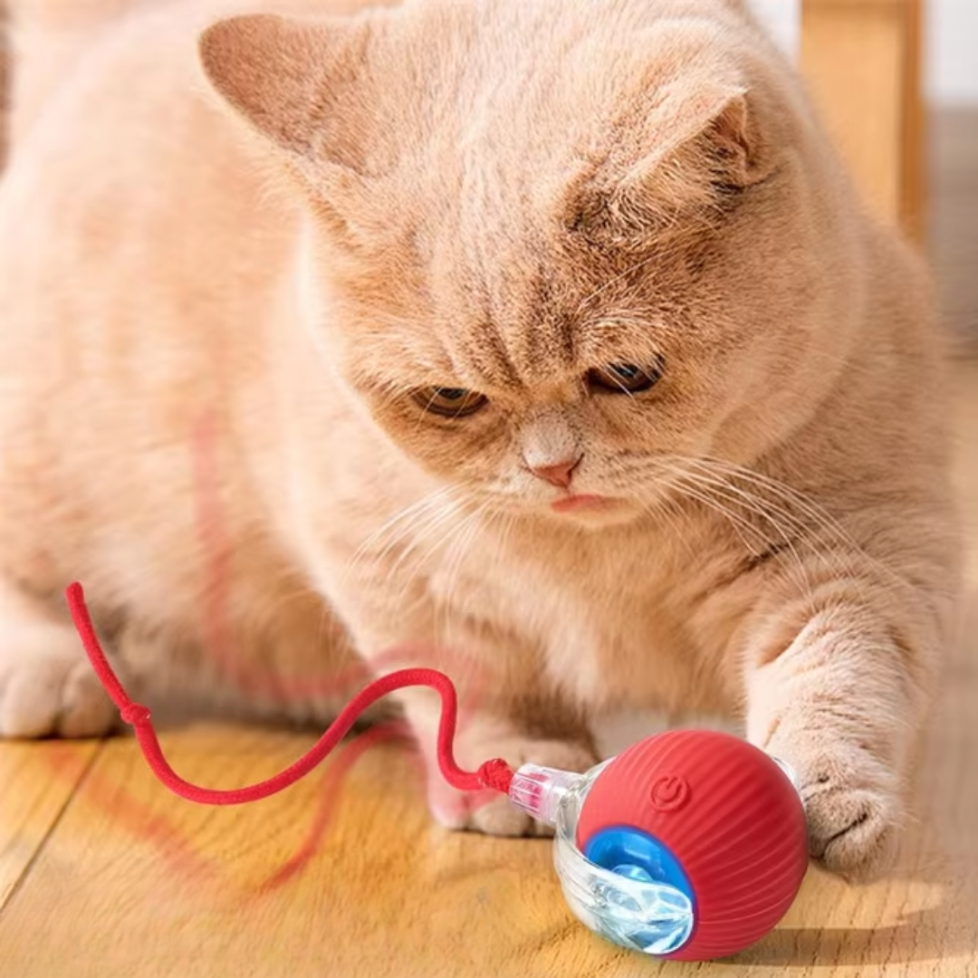 ChaseBall kattenspeelgoed - Bewegende bal met Licht voor Eindeloos Kattenplezier